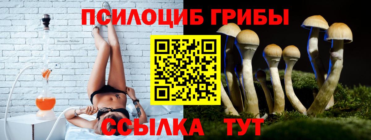 Мытищи  Галлюциногенные грибы прущие грибы  Вход с VPN 