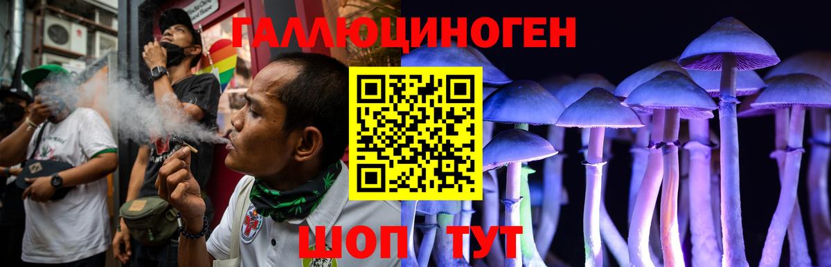 Галлюциногенные грибы Magic Shrooms Мытищи